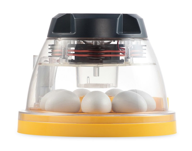 Brinsea Mini II Advance Classroom Incubator and Brooder Pack