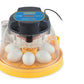 Brinsea Mini II Advance Classroom Incubator and Brooder Pack