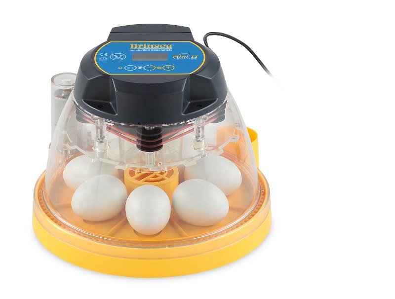 Brinsea Mini II Advance Classroom Incubator and Brooder Pack