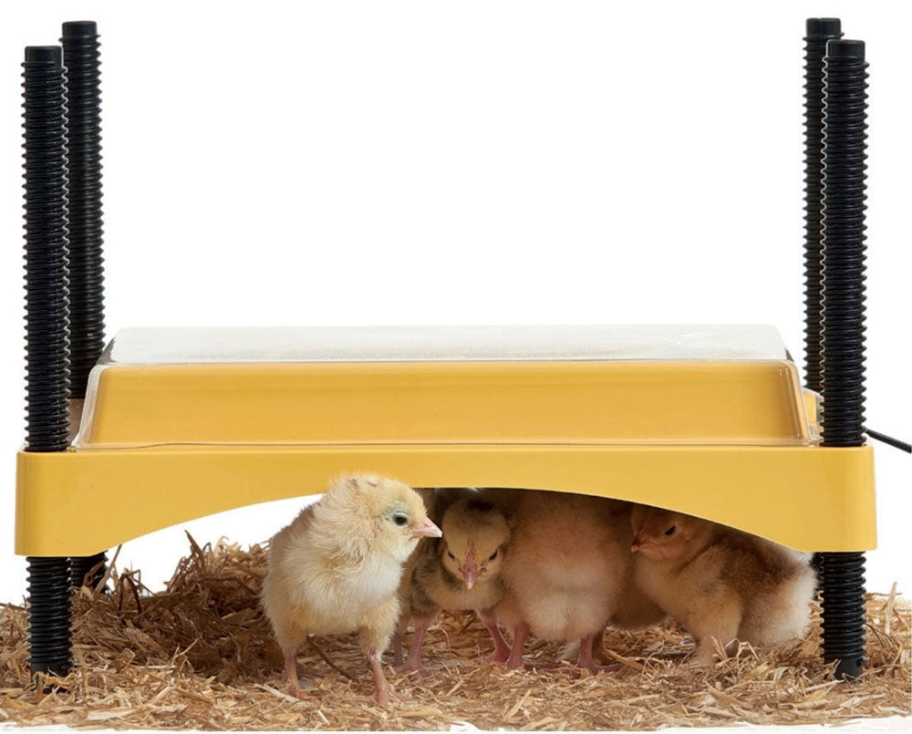 Brinsea EcoGlow Safety 600 Chick Brooder + Cover (up to 20 chicks)