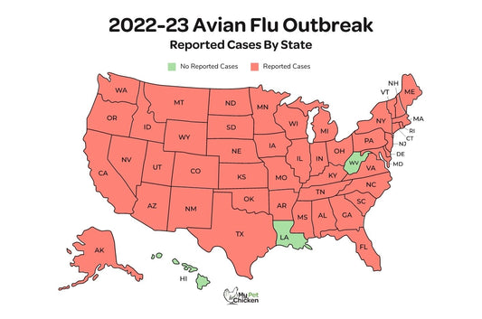 Avian Flu Outbreak - US Map