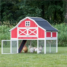 Top Chicken Coop for Sale - Gambrel Roof Chicken Coop