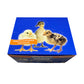 Sav-A-Chick Poultry Probiotic, Pack of 3