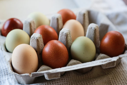 Colorful chicken eggs are displayed in an egg carton.