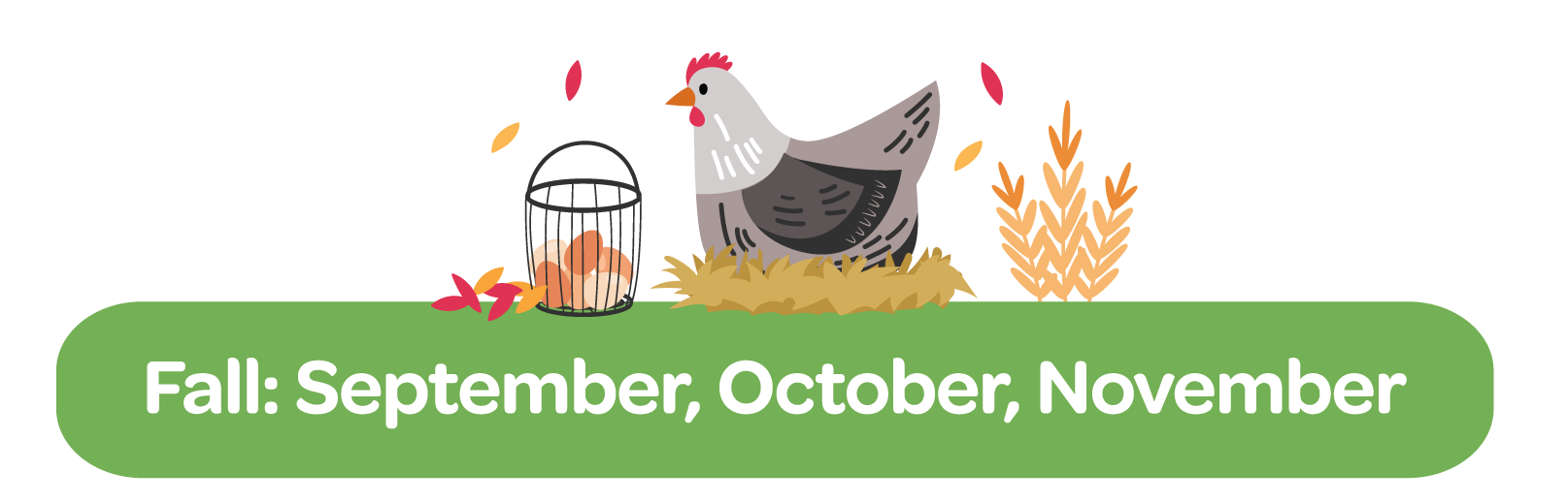 Fall Chicken Care Checklist