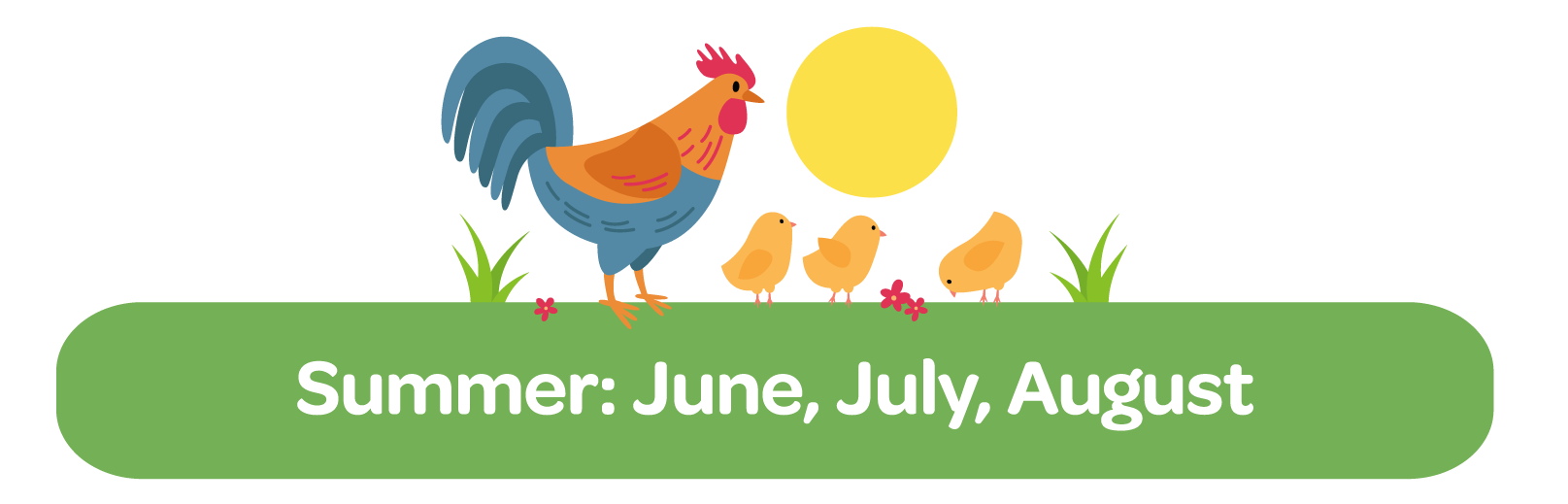 Summer Chicken Care Checklist