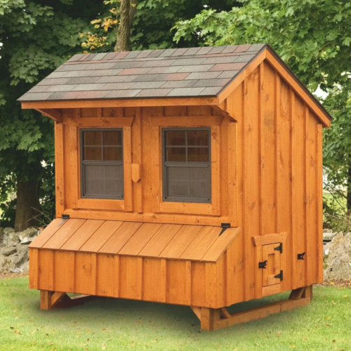 Craftsman 4x6 Chicken Coop